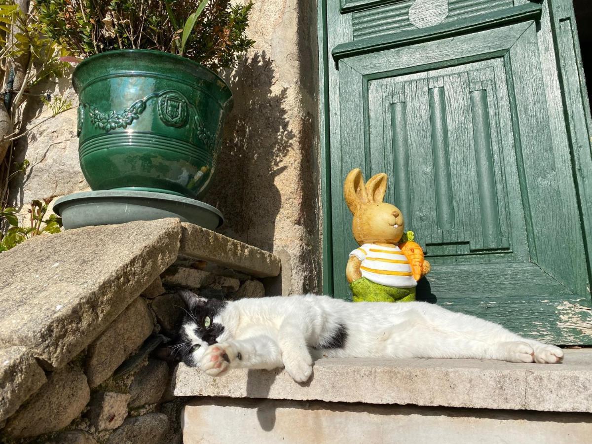 Le Clos St Georges Entraygues-sur-Truyère Esterno foto